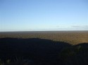 DSCF2528 (Medium).JPG